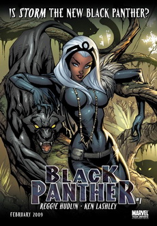 "Black Panther" [S01] DVDRip.XviD-SPRiNTER