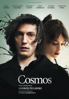 "Cosmos" (2015) PL.BDRiP.x264-PSiG