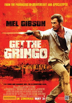 "Get The Gringo" (2012) HDTV.XviD-SER