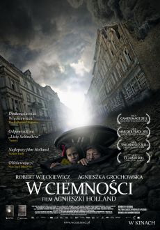 "W ciemności" (2011) PL.DVDRip.XviD-PSiG
