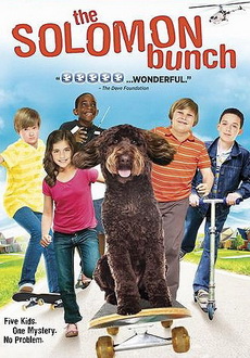 "The Solomon Bunch" (2012) DVDRip.XViD-DOCUMENT