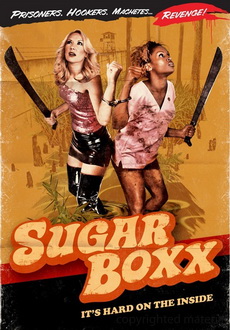 "Sugar Boxx" (2009) DVDRip.XviD-SPRiNTER