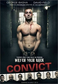 "Convict" (2014) BDRiP.X264-TASTE