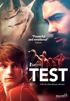 "Test" (2013) LIMITED.DVDRiP.X264-TASTE