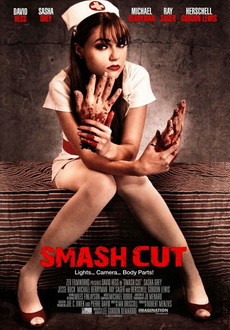 "Smash Cut" (2009) DVDRip.XviD-DiVERSE