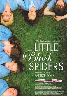 "Little Black Spiders" (2012) DVDRip.XviD-EXViD