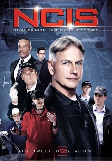 "NCIS: Naval Criminal Investigative Service" [S12] BDRip.x264-REWARD