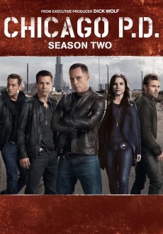 "Chicago P.D." [S02] DVDRip.x264-TASTETV