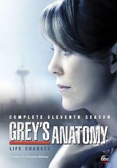 "Grey's Anatomy" [S11] DVDRip.x264-DEMAND