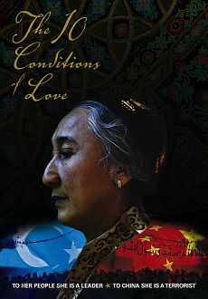 "The 10 Conditions of Love" (2010) DVDRip.XviD-aAF