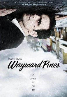 "Wayward Pines" [S01] DVDRip.x264-REWARD