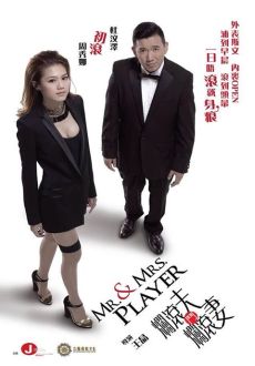 "Mr & Mrs Player" (2013) BDRip.x264-ROVERS