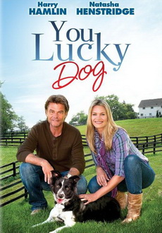 "You Lucky Dog" (2010) DVDRip.XviD-VoMiT