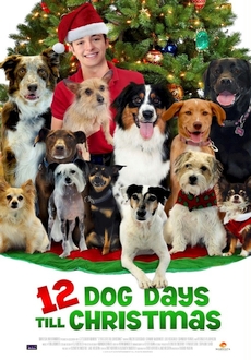 "12 Dog Days Till Christmas" (2014) DVDRip.x264-REGRET