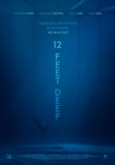 "12 Feet Deep" (2016) WEB-DL.x264-FGT