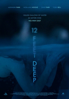 "12 Feet Deep" (2017) BDRip.x264-VETO