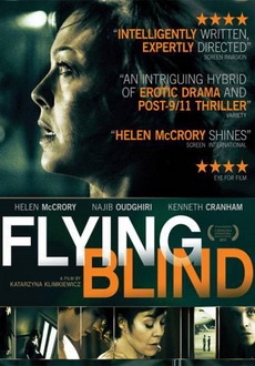 "Flying Blind" (2012) DVDRiP.XViD-TASTE