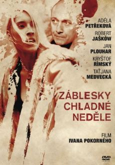 "Záblesky chladné nedele" (2012) DVDrip.XviD.AC3-exvet