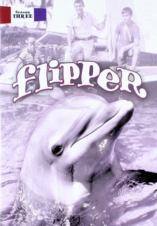 "Flipper" [S03] BDRip.x264-PHASE