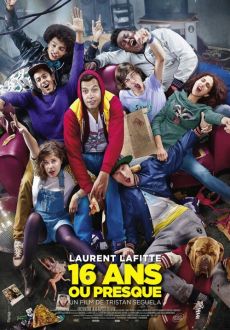 "The Adulteen" (2013) PL.BRRiP.x264-PSiG