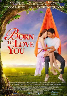 "Born to Love You" (2012) DVDRip.XviD-CoWRY