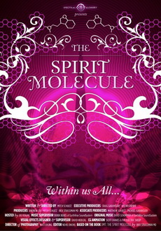 "The Spirit Molecule" (2010) DVDRiP.XviD-UNVEiL