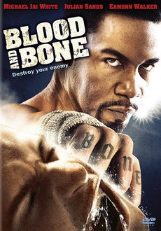 "Blood And Bone" (2009) DVDRip.XviD-DOMiNO