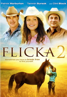 "Flicka 2" (2010) DVDRip.XviD-VoMiT