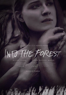 "Into the Forest" (2015) DVDRip.x264-FiCO