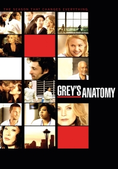 "Grey's Anatomy" [S06E09] New.History.HDTV.XviD-FQM