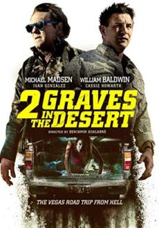 "2 Graves in the Desert" (2020) BDRip.x264-ROVERS