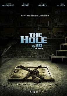 "The Hole" (2009) PL.DVDRiP.XViD-PSiG