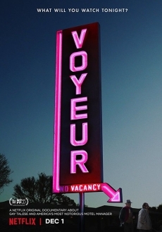 "Voyeur" (2017) DOCU.WEBRip.x264-FGT