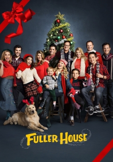 "Fuller House" [S03E10-18] WEB.x264-STRiFE