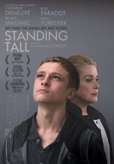 "Standing Tall" (2015) LIMITED.DVDRip.x264-RedBlade