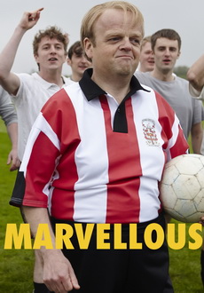 "Marvellous" (2014) BDRip.x264-SONiDO