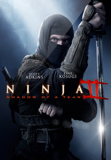 "Ninja: Shadow of a Tear" (2013) WEBRip.x264-FLS