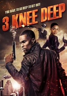 "3 Knee Deep" (2016) DVDRip.x264.AC3-PLAYNOW