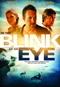 "In the Blink of an Eye" (2009) DVDRip.XviD-VoMiT