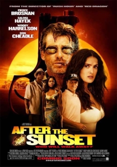 "After the Sunset" (2004) INTERNAL.DVDRip.x264-HOTEL