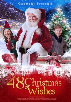 "48 Christmas Wishes" (2017) WEBRip.x264-ION10