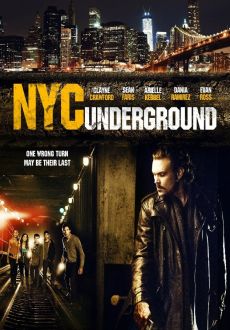 "N.Y.C. Underground" (2013) DVDRip.x264-IGUANA