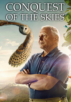 "Conquest of the Skies 3D" (2014) DOCU.BRRip.x264-RARBG