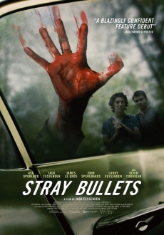 "Stray Bullets" (2016) DVDRip.x264-RedBlade