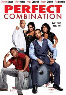 "Perfect Combination" (2010) DVDRip.XviD-VoMiT