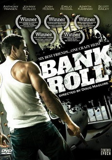 "Bank Roll" (2013) WEBRip.XviD-AQOS