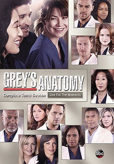 "Grey's Anatomy" [S10] DVDRip.x264-DEMAND