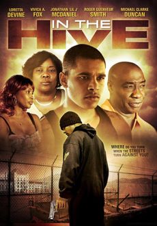 "In The Hive" (2012) DVDRip.XviD.AC3-SuReNo