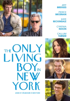 "The Only Living Boy in New York" (2017) BDRip.X264-AMIABLE