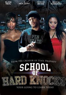 "School of Hard Knocks" (2013) DVDRip.x264-SuReNo